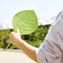 Uchiwa Fan Shaped like a leaf HA