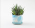 Porcelain Mug Flower Pot