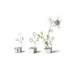 100% Tin Flower Vase "LASSO"