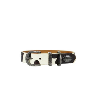 Pure Western Adelaide Dog Collar -  Black/ White