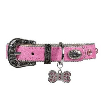 Pure Western Tilly Dog Collar - Pink