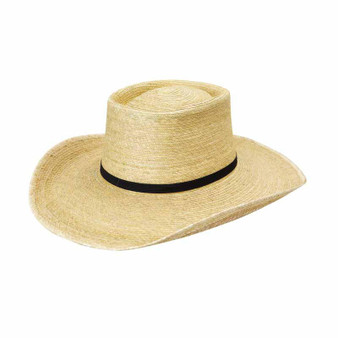 Sunbody Hat Box Top - Brim Oak