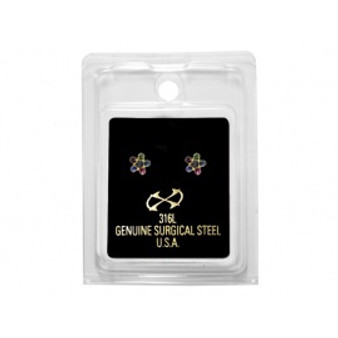 X8 S/S DAISY RAINBOW Earrings