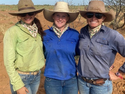 The Ultimate Guide to Choosing Wrangler Shirts for Ladies