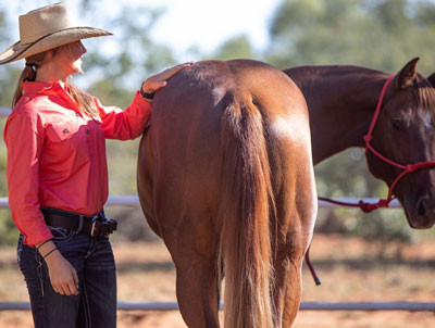 Wrangler Australia Jeans: What Makes Them Stand Out in the Denim Market?