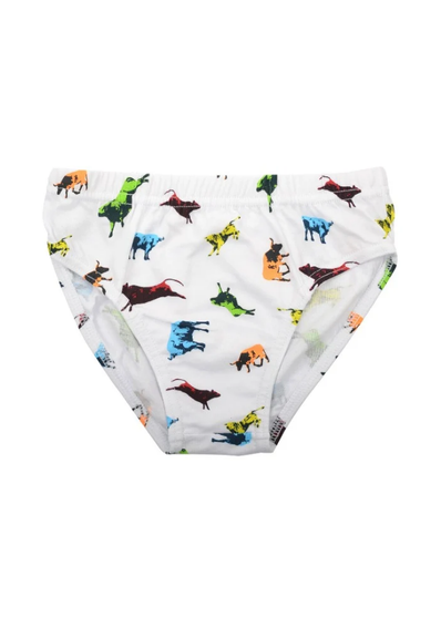 Boys Thomas Cook Undies 3pk