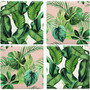 ON SALE Lavida Coasters - Rainforest