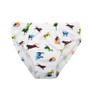 Boys Thomas Cook Undies 3pk