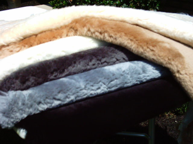 Sheepskin Hides 