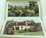 c1940s / 1950s COLOUR FOLDOUT UNUSED “VIEWS OF MT GAMBIER"