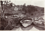 1910 REAL PHOTO POSTCARD. WHEAT LOADING, RENMARK, MURRAY RIVER.