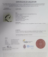 0.45ct Princess Cut Set 14K White Gold Ladies Ring Size N1/2 Val $2095