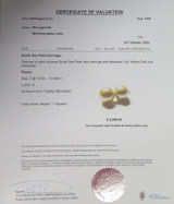 A Pair of 13 - 13.5mm Gold Coloured South Sea Pearl Earring Studs Val $2890