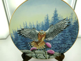 MAJESTY OF FLIGHT BY T J HIRATA "THE VANTAGE POINT" COLLECTORS PLATE, BOX & COA.