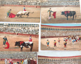 EARLY 1900s SPAIN SPANISH / SET 9 BULLFIGHTING POSTCARDS