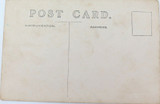 3 x EARLY 1900s RPPC REAL PHOTO POSTCARDS. POTATO FARMING. POSSIBLY NZ.