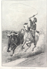 1886 WOOD ENGRAVING “ROUNDING UP, CATTLE-RUN"