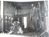 RARE 1924 BRITISH EMPIRE EXHIBITION PHOTO. DANISH KING AUSTRALIAN SHEEP SHEARING