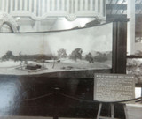 RARE 1924 BRITISH EMPIRE EXHIBITION LARGE PHOTO AUSTRALIAN SHEEP STATION DISPLAY