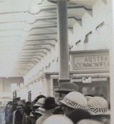 RARE 1924 BRITISH EMPIRE EXHIBITION LARGE PHOTO. AUSTRALIAN ORCHID SCENE.