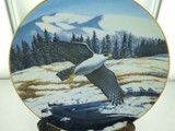 MAJESTY OF FLIGHT BY T J HIRATA "FIERCE AND FREE" COLLECTORS PLATE, BOX & COA.