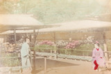 1900s RARE JAPANESE MEIJI PERIOD KARL LEWIS, YOKOHAMA PHOTOGRAPH. FLOWER BLOOMS