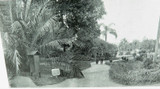 c1900 LARGE MATTED PANORAMIC PHOTO BOOKPLATE VIEW OF BRISBANE. #3