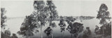 c1900 LARGE MATTED PANORAMIC PHOTO BOOKPLATE VIEW OF BRISBANE. #4
