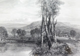 c1873 ORIGINAL STEEL ENGRAVING “ON THE GOULBURN, VICTORIA" FROM S PROUT SKETCH.