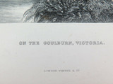 c1873 ORIGINAL STEEL ENGRAVING “ON THE GOULBURN, VICTORIA" FROM S PROUT SKETCH.