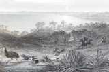 c1873 ORIGINAL STEEL ENGRAVING “LAKE ALBERT" FROM S PROUT SKETCH.