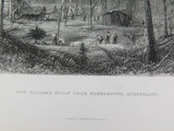 c1873 ORIGINAL STEEL ENGRAVING “NEW ZEALAND GULLY, QLD” J CARR SKETCH.