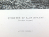 c1873 ORIGINAL STEEL ENGRAVING “STAMPEDE PACK HORSES, NORTHERN TERRITORY”