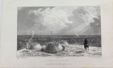 RARE 1838 ORIGINAL LITHO EX “THREE EXPEDITIONS AUSTRALIA” MAJOR T L MITCHELL #8