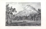 RARE 1838 ORIGINAL LITHO EX “THREE EXPEDITIONS AUSTRALIA” MAJOR T L MITCHELL #14