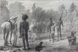 RARE 1838 ORIGINAL LITHO EX “THREE EXPEDITIONS AUSTRALIA” MAJOR T L MITCHELL #15