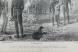 RARE 1838 ORIGINAL LITHO EX “THREE EXPEDITIONS AUSTRALIA” MAJOR T L MITCHELL #15