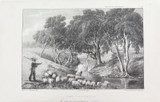 RARE 1838 ORIGINAL LITHO EX “THREE EXPEDITIONS AUSTRALIA” MAJOR T L MITCHELL #23