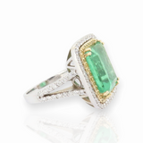 Wonderful 7.66ct Emerald & Diamond Set Double Halo 18K Ring Size N Val $41200