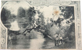 Scare 1905 Postcard Fairy Bower, Rockhampton.