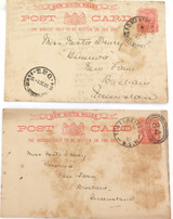 Rare 1901 Australian Hand Drawn in Ink Postcards. Bear & Hen Comical.