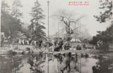 c1910 Maruyama Park, Kyoto Japan Postcard. Unused.