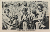Rare c1905 "White Series QLD" Cardwell Natives, North QLD Postcard Aboriginal.
