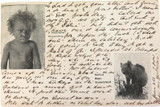 1904 Postcard Printed in Brisbane. Native Bear (Koala) & Aboriginal Child.