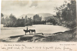 Nice Condition 1907 Postcard. Cox River & Medlow Gap, NSW.