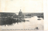 c1905 Unused Postcard. Sudan, Nile River, Steam Boat Cutting Papyrus.