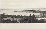 c1905 Swain & Co Postcard. Sydney Harbour & Botanical Gardens