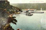 c1908 “Nature Series” Unused Gloss Colour Postcard. Clifton Gardens, Sydney