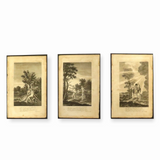 c1700s Extremely Large Triptych / Miltons Lost Paradise Engravings “Adam & Eve"