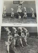 RARE c1940s 2 x Renee’s Canine Cadets Circus Performing Troupe Promo Cards
